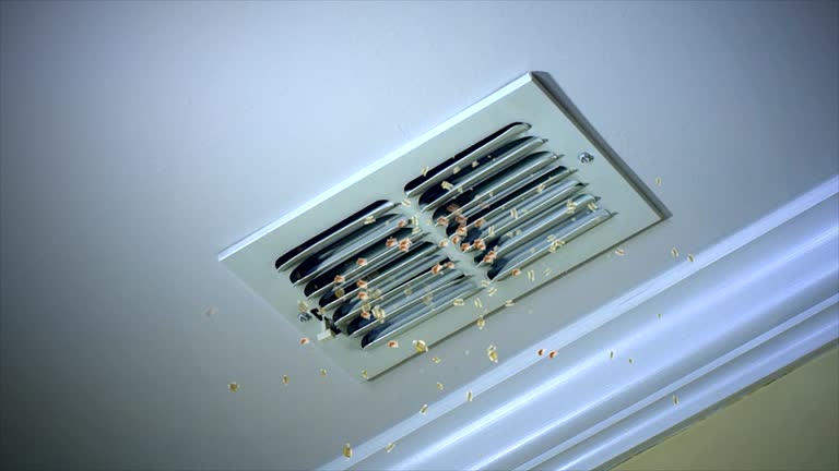 Best Local Air Duct Cleaning Services  in Belleville, PA