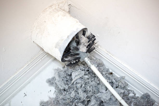 Best Professional Duct Cleaning Services  in Belleville, PA